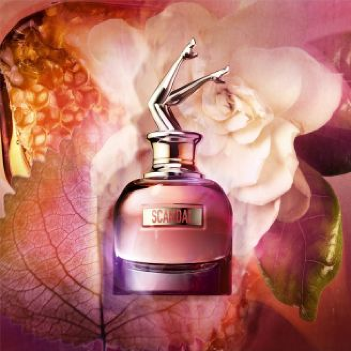 jean paul gaultier scandal gift set (eau de parfum spray 50ml body lotion 75ml) jean paul gaultier scandal gift set (eau de parfum spray 50ml body lotion 75ml)